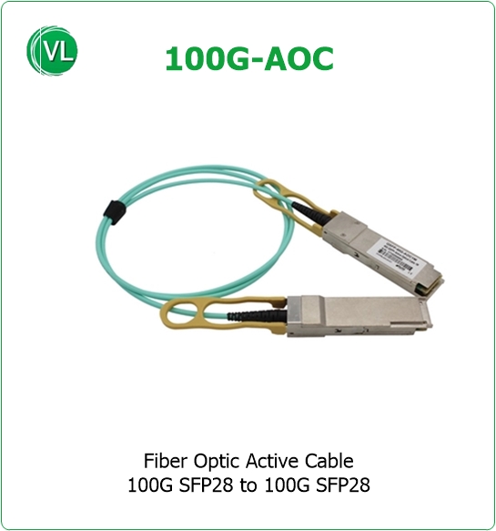 100G-AOC-1M