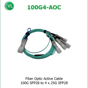 100G4-AOC-1M
