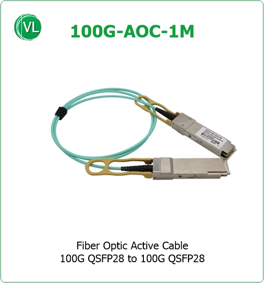 100G-AOC-1M