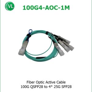 100G4-AOC-1M