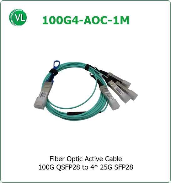 100G4-AOC-1M