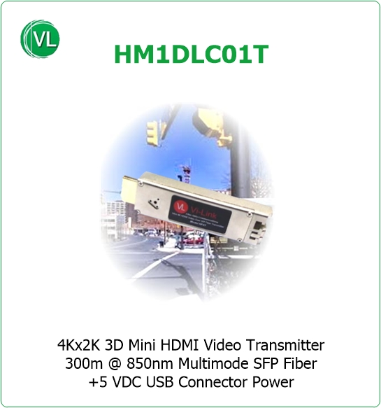 HM1DLC01T